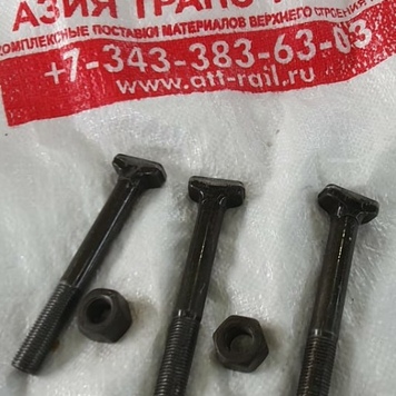 Болт закладной М22х175 с гайкой М22